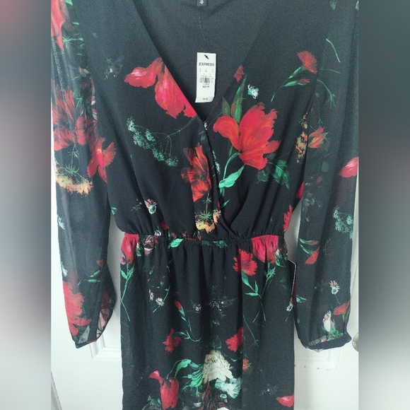 Express Black and Red Sheer Floral Dress - Picture 3 of 5